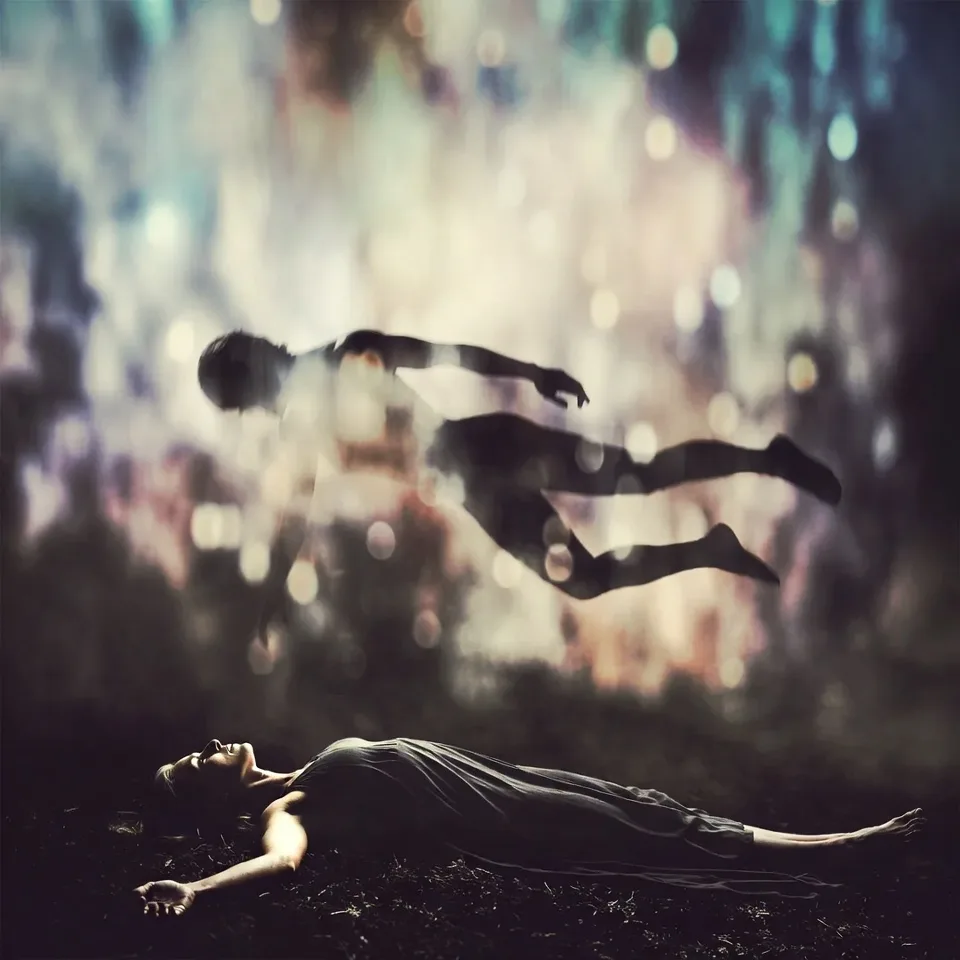 Veridické vnímanie